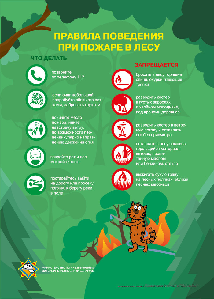 Posters of the Ministry of Emergency Situations of Belarus - Republic of Belarus, Ministry of Emergency Situations, Poster, Safety, , Longpost, Images, Leaflets