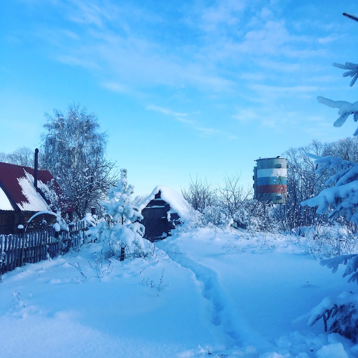 New Year - The photo, Longpost, Village, My, House, cat