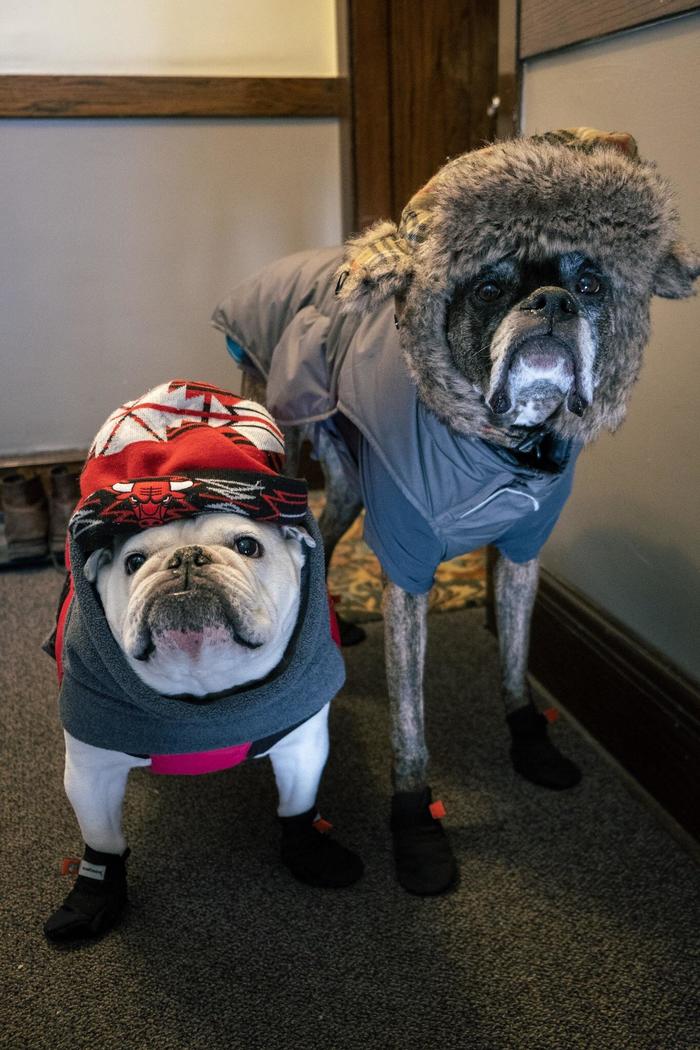 &quot;  -38.   &quot;