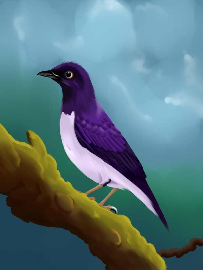 Скворец в SAI