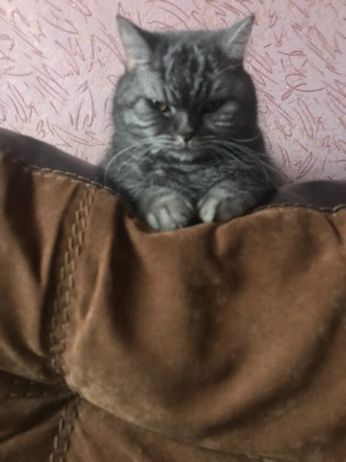  , , 
