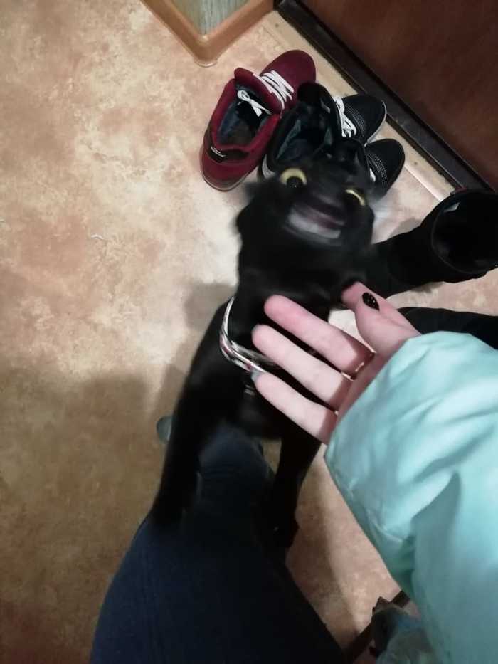     !