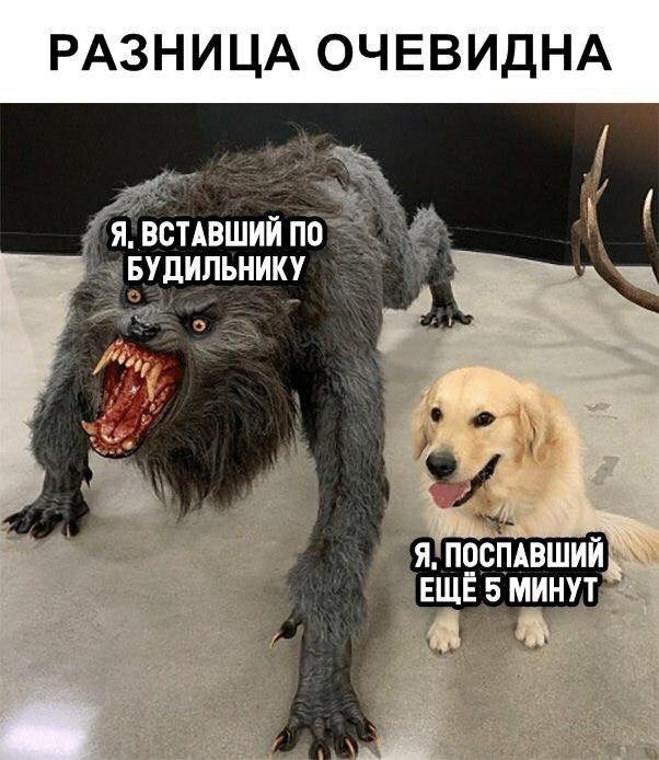 Есть разница?
