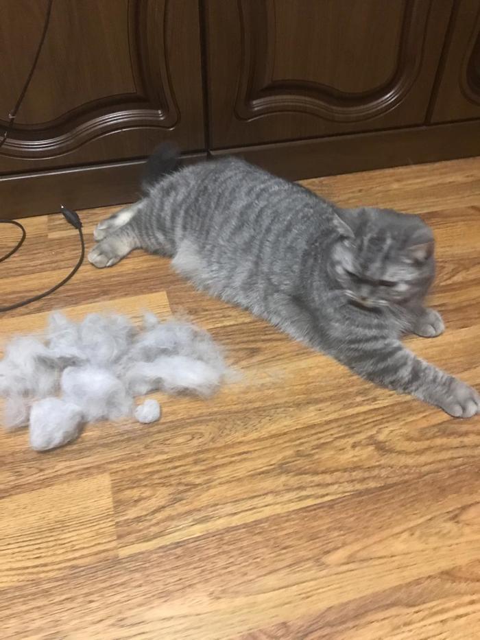  , , , 