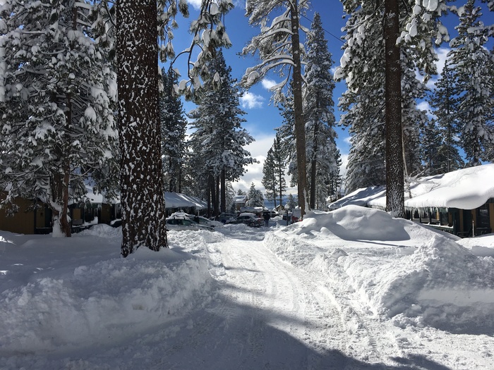 Winter in California - My, California, Winter, Snow, Lake Tahoe, Longpost, Nature, The photo