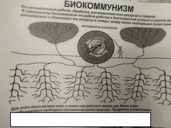 Немного странного из сети - часть 2 - Странности, Природа, Нетсталкинг