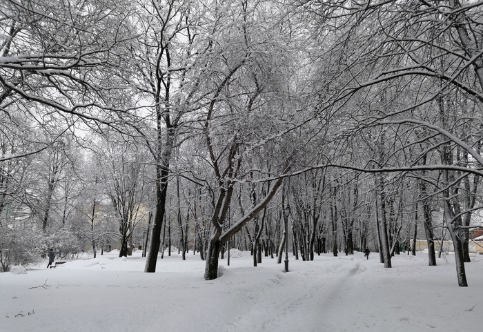 Vyborg, central park - My, Vyborg, The park, Snow
