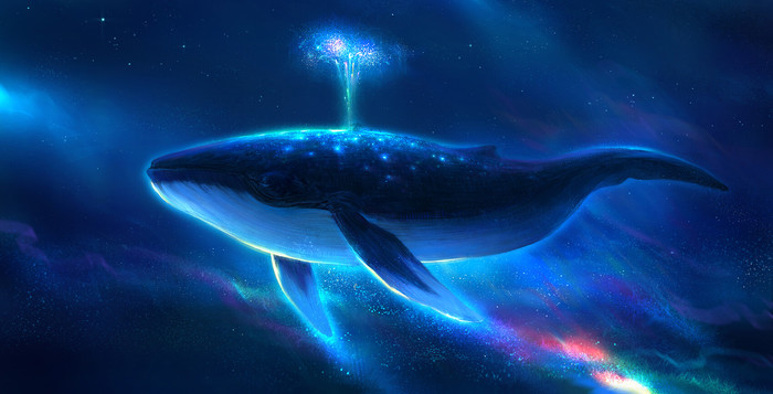 Spacewhale , , , Paperblue