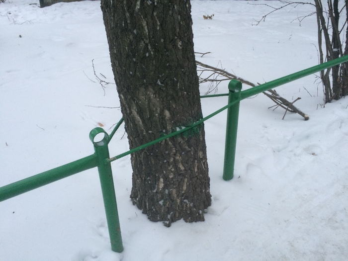 With care for nature! - My, Fence, Tree