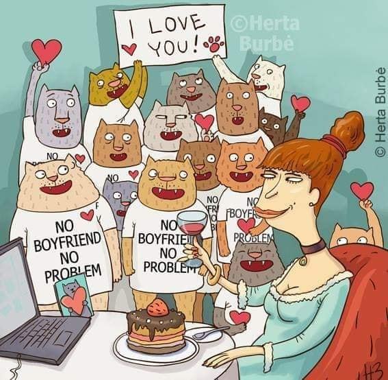 Valentine's Day of a strong and independent woman - Images, Picture with text, cat, Caricature, Valentine's Day