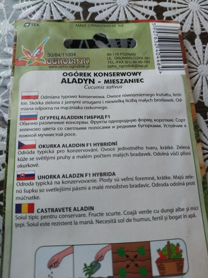 �������� �����