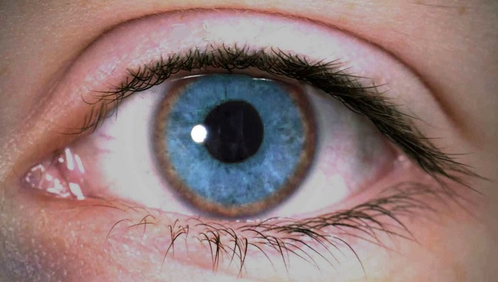 Зеленые глаза с коричневым ободком вокруг зрачка