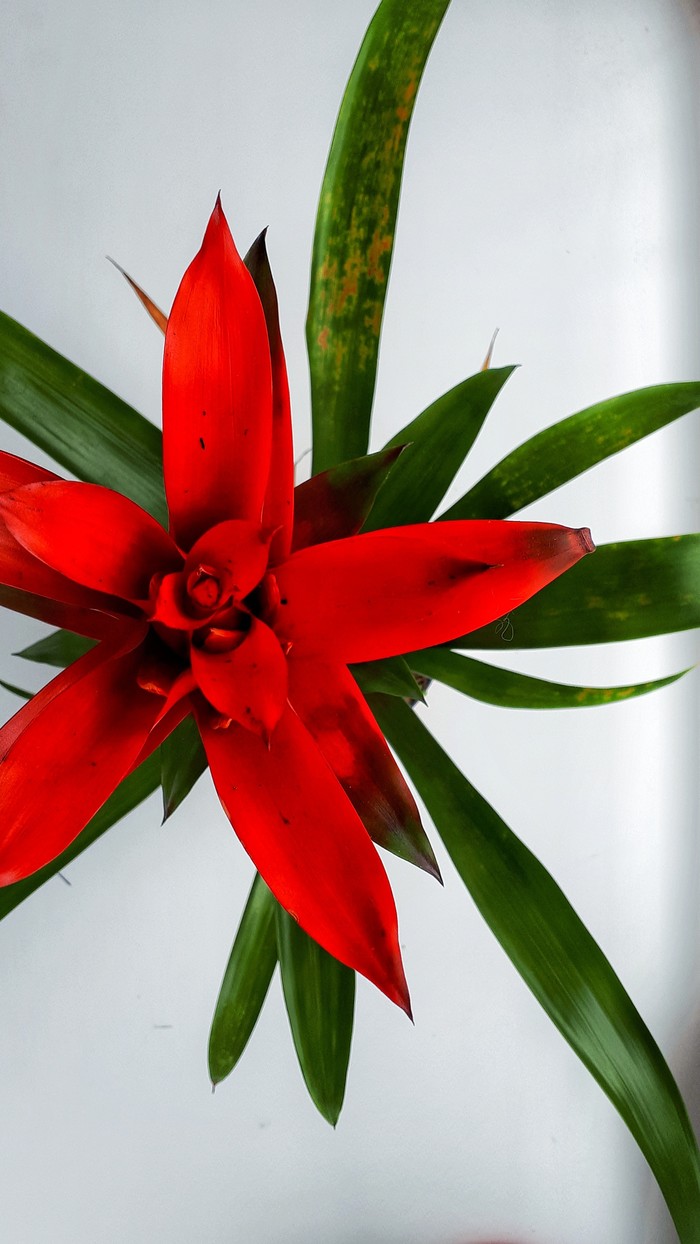 ����� �� � ����-�� ������)