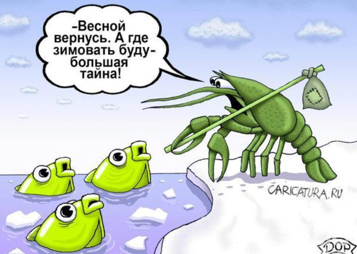 Where do crayfish hibernate? Or people's funny answers! - Russia, Where crayfish hibernate