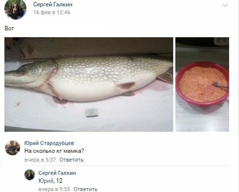 Poachers in VKontakte, what to do with them? - My, Poachers, Law violation, Longpost