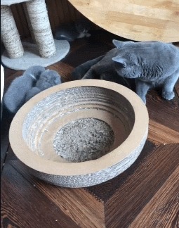 Отец