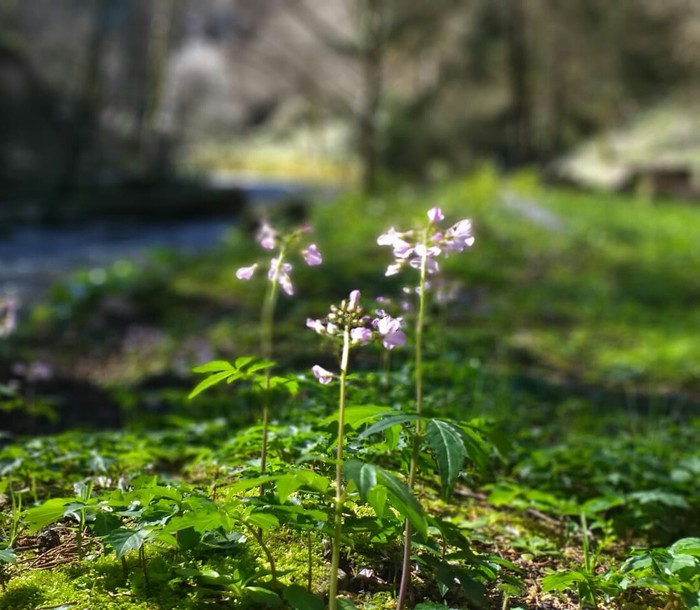 �������. �������. +11 ����� ��.