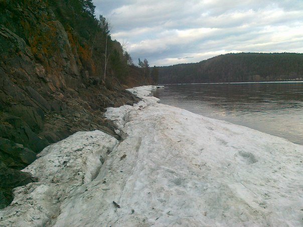 The road to the bank of the Yenisei to one forgotten village. The tree is no longer there. - My, Yenisei, Hiking, Hike