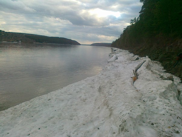 The road to the bank of the Yenisei to one forgotten village. The tree is no longer there. - My, Yenisei, Hiking, Hike