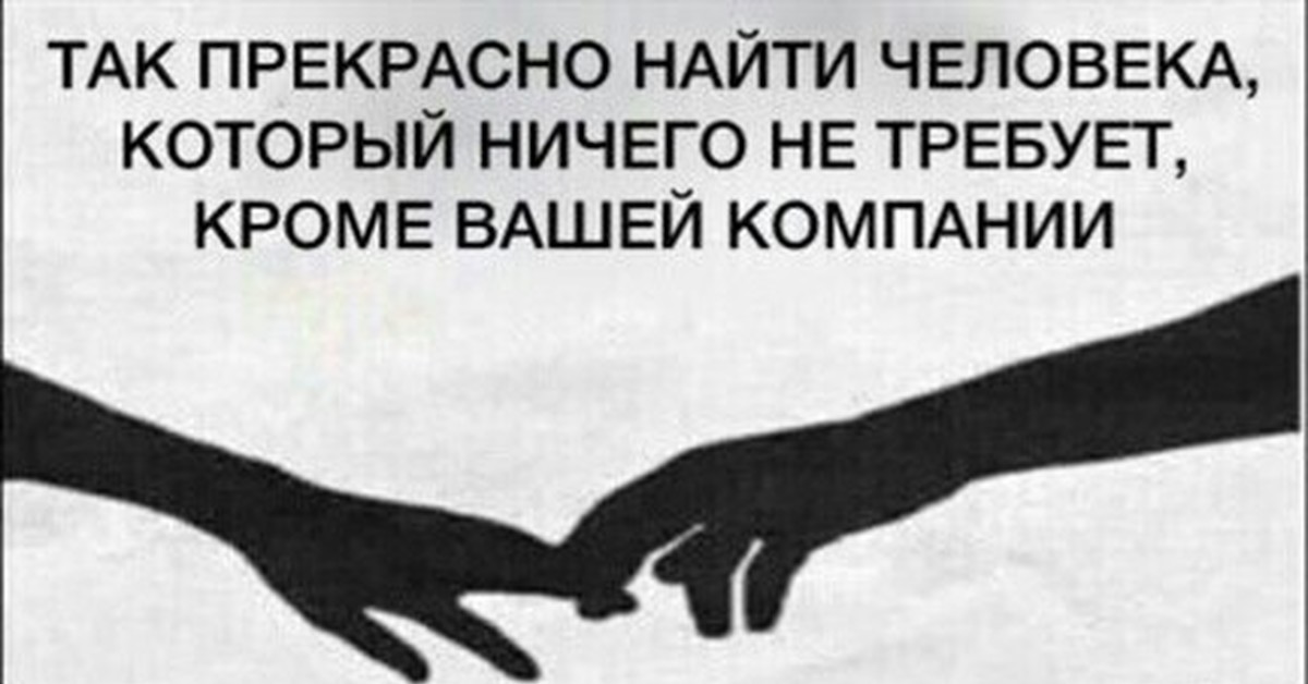 Компания кроме. Отдай мне свою компанию Мем. Человек ничего не требует кроме вашей компании. Ничего не нужно кроме вашей компании. Нашёл собеседника , это замечательно.