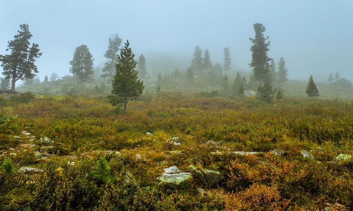 Hanging in the fairy fog - My, Ergaki, Travels, Fog, Landscape, Leisure, Holidays in Russia, Hanging Stone, Longpost