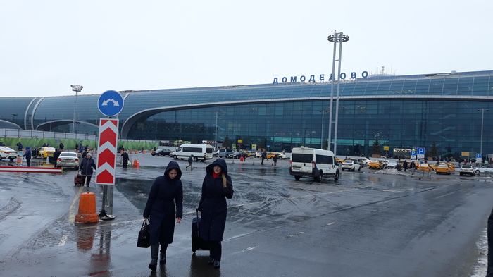 Electronic boarding passes. - My, Boarding pass, Longpost, The airport