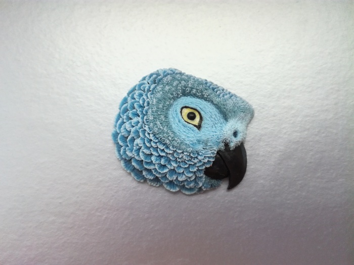 A parrot - My, A parrot, Polymer clay, Magnet, Brooch, Needlework without process, Longpost