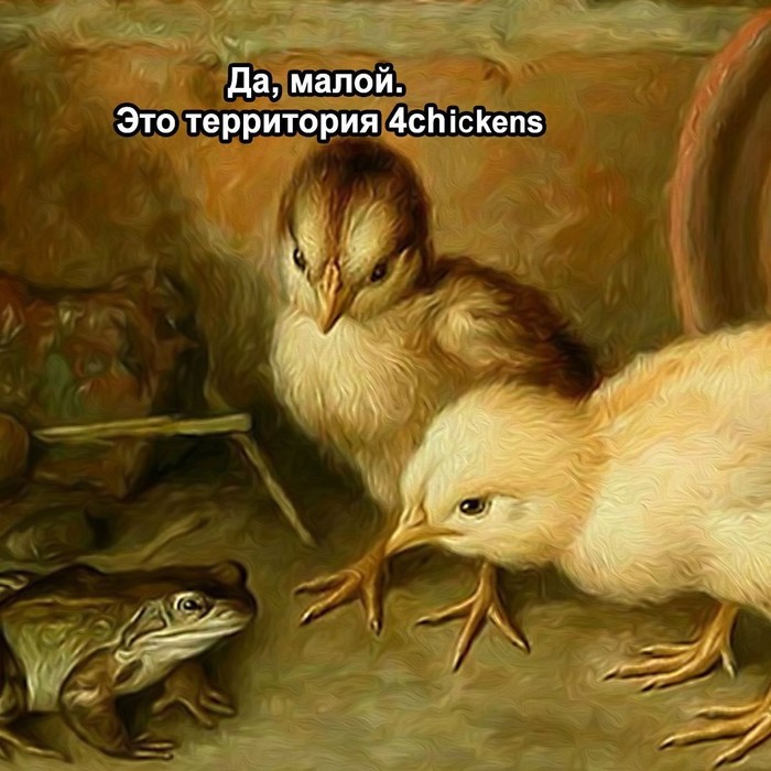 4chickens , , , 