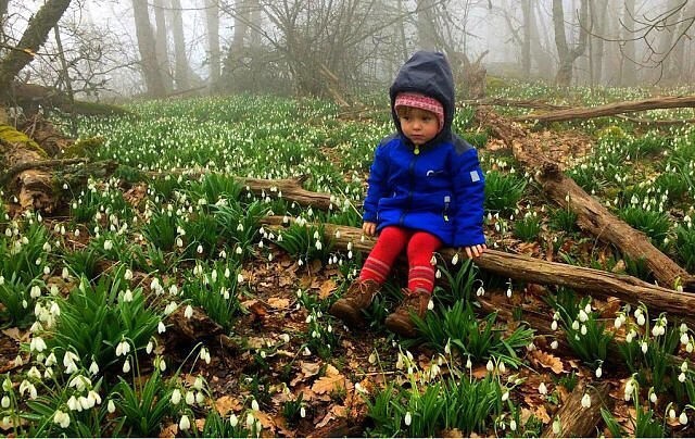 Spring in Crimea - Crimea, Spring, Snowdrops, Children, The photo, Snowdrops flowers