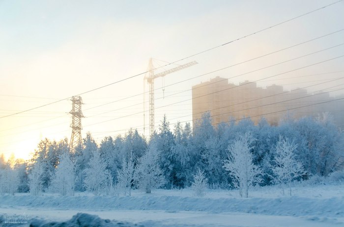 Cold Surgut - My, KhMAO, Nature