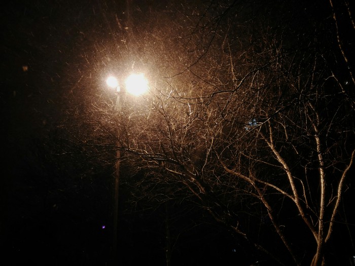 Lamp - My, Mobile photography, Beginning photographer, I want criticism, Light, Lamp, Tree, Snow