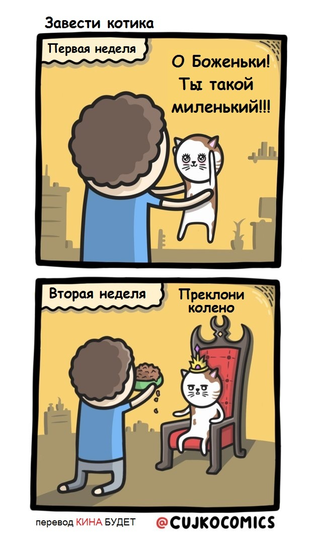 �������� �����...