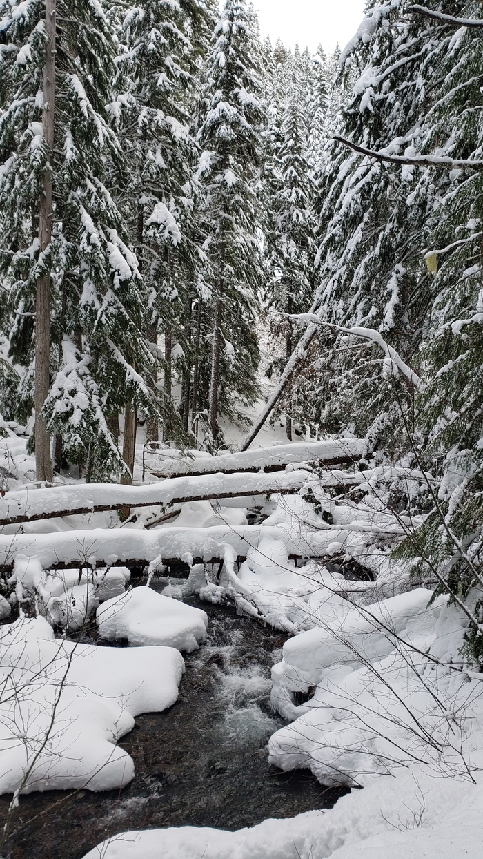 Winter Oregon - Snow, Forest, Winter, Waterfall, The photo, USA, Oregon, My, Longpost