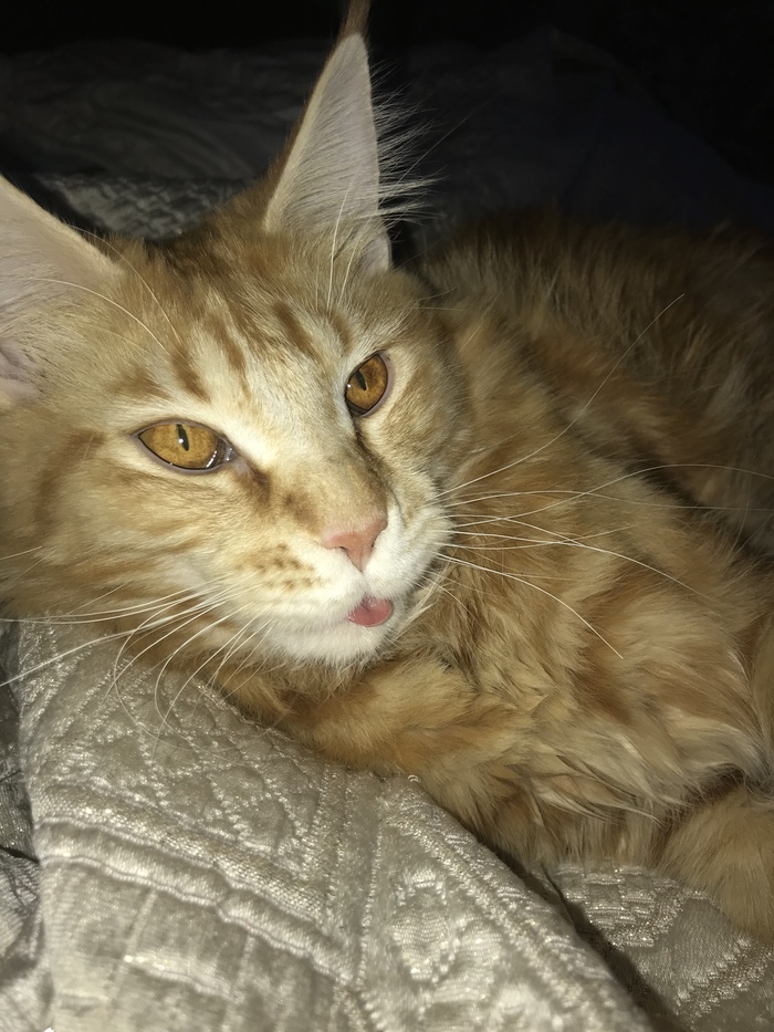 ����-����