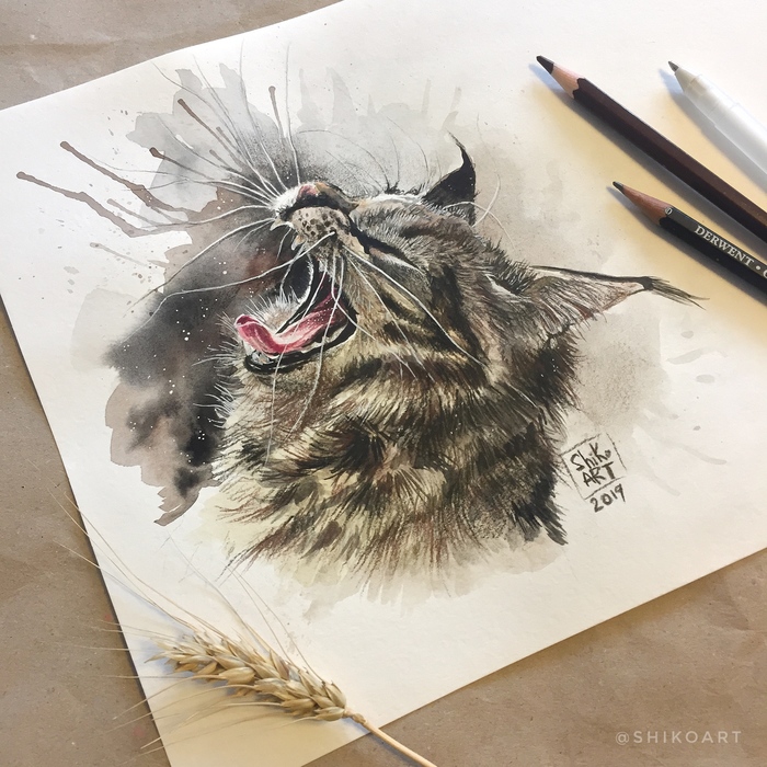 . Tomcat . - My, Art, Drawing, Creation, cat, March 8