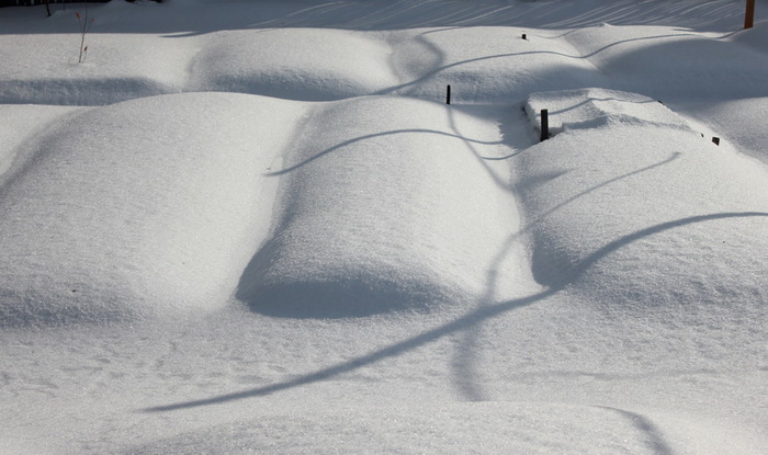 Здесь закопаны лучшие годы.