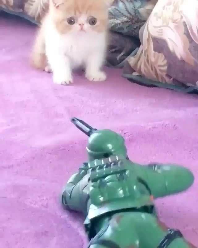 seks-vnezapnoe-napadenie-moskva-intim-transseksualki