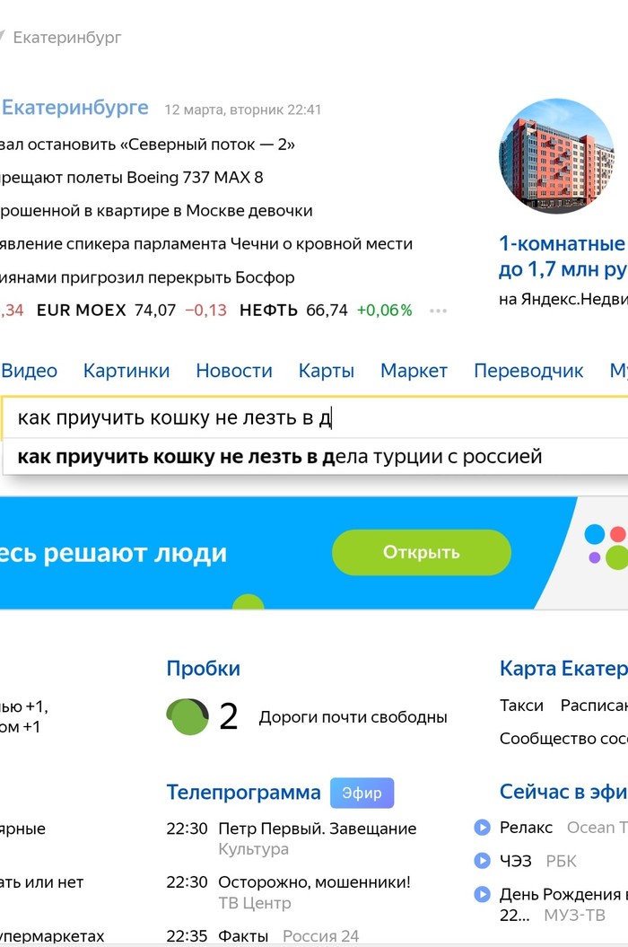 A very disturbing issue - My, Politics, , Yandex., cat, Screenshot, Pets