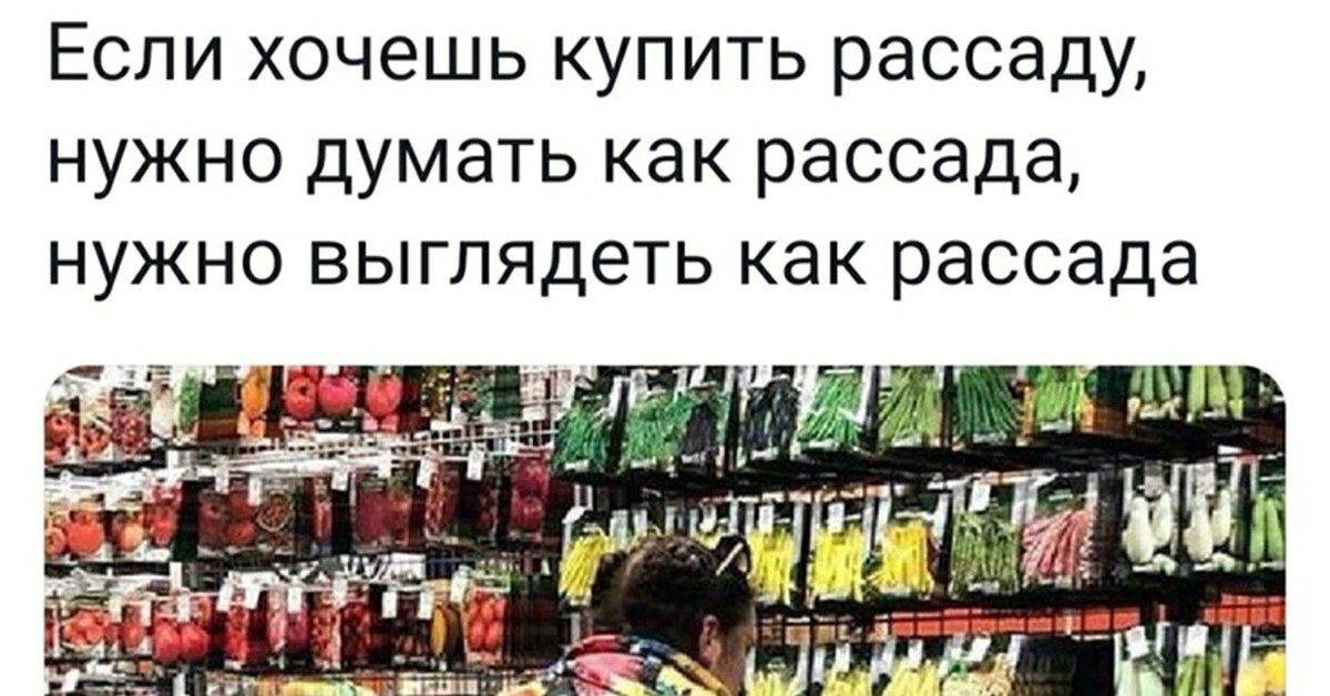 Выглядеть Как Рассада Фото