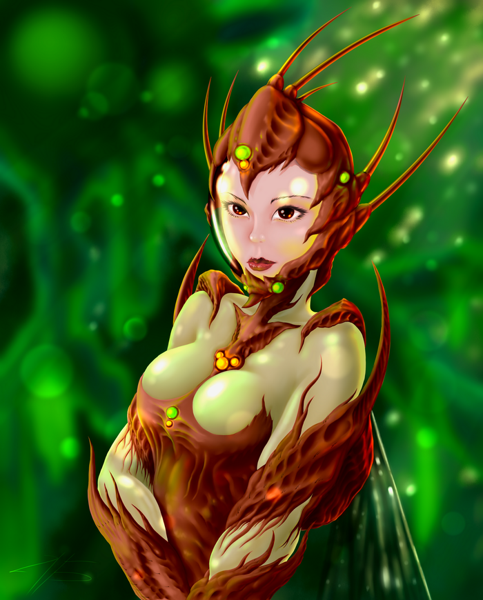 ������� � ������������ ���-���������.