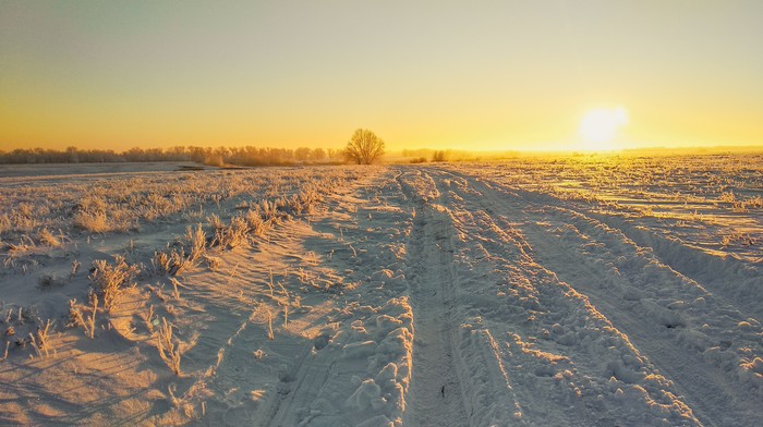 Закат в поле