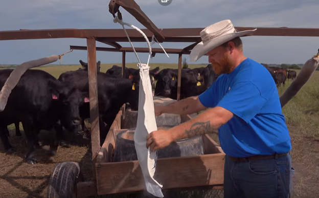 5 Nebraska Farm Secrets - My, Cow, Farm, Farmer, Fattening of bulls, Beef, Cattle, Pasture, Video, Longpost