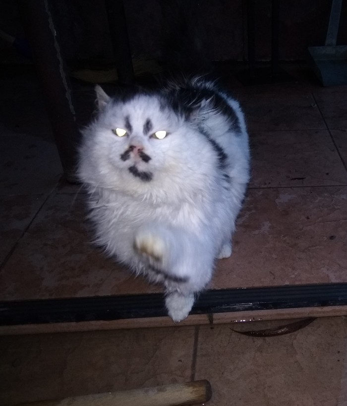 ���� ���