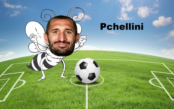 Pchellini - Футбол, Ювентус, Juventus, Джорджо Кьеллини