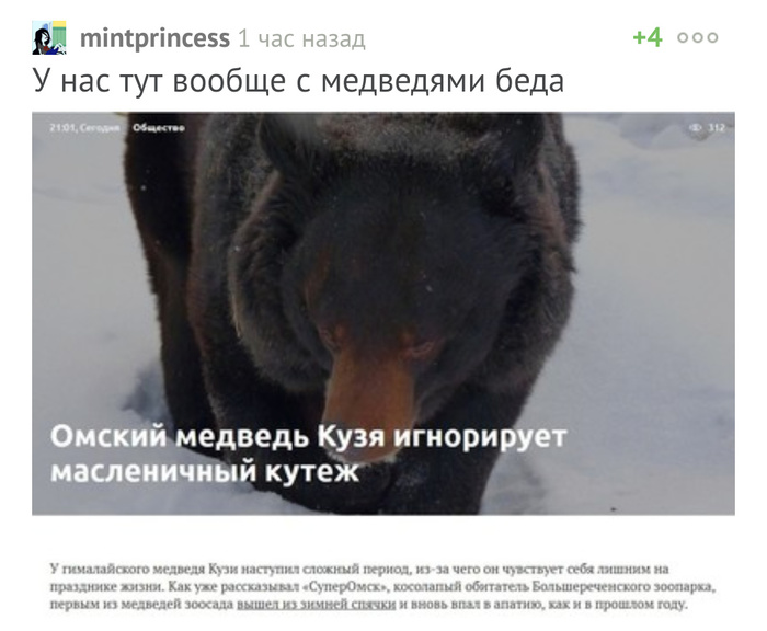 So what's up with the bears? - Comments on Peekaboo, Screenshot, Bear, Omsk, The Bears