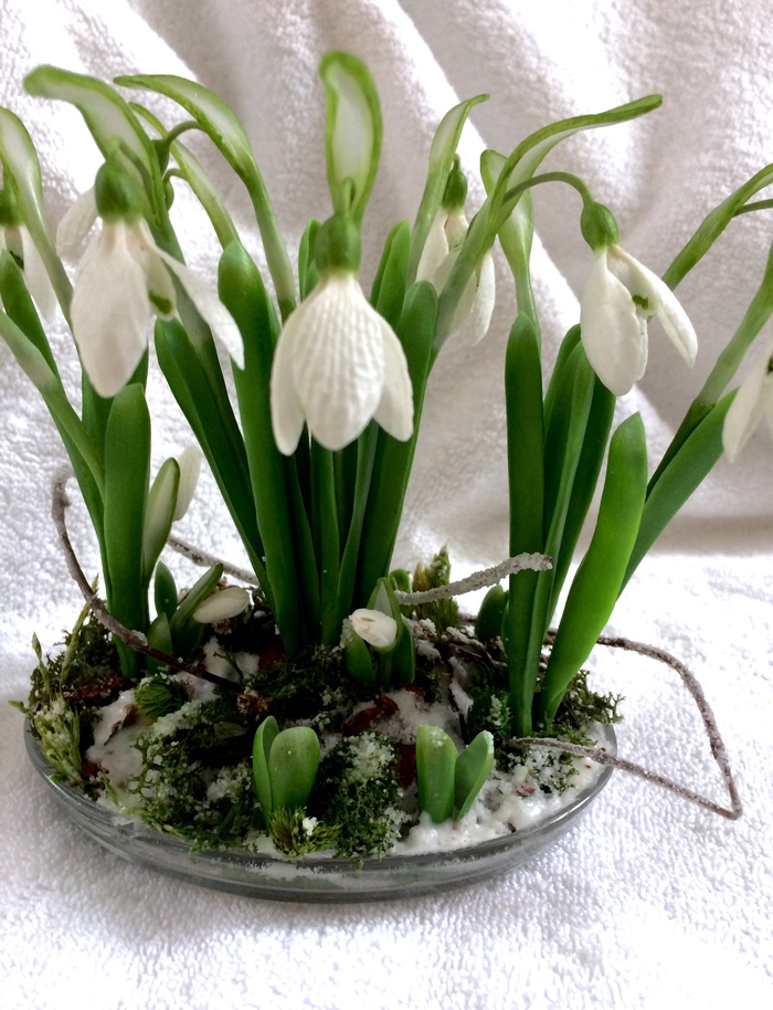 Cold porcelain snowdrops - My, Cold porcelain, Handmade, Longpost, Snowdrops, Polymer floristry, Needlework without process, Snowdrops flowers
