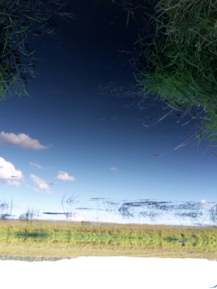 The world is upside down. - My, The photo, Nature, Changeling, Summer, Dacha, Relaxation, River