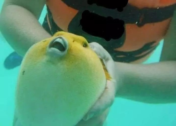 ��������