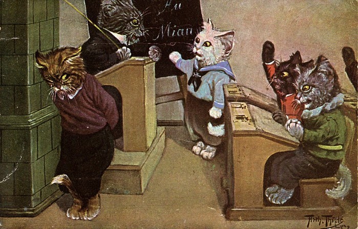 Немецкие ученые котики Кот, Картинки, Германия, Школа, Длиннопост