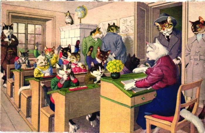 Немецкие ученые котики Кот, Картинки, Германия, Школа, Длиннопост